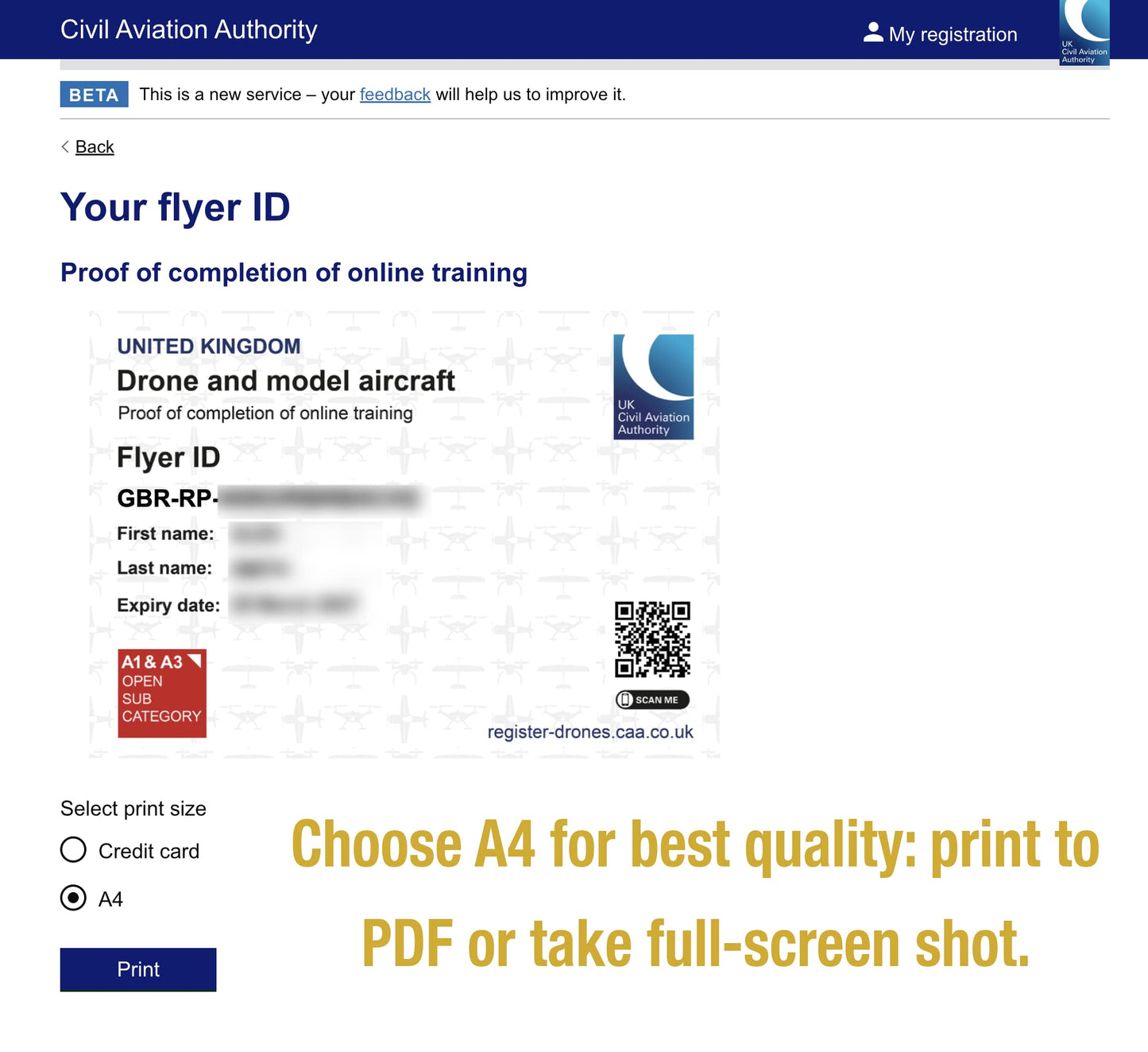 Custom printed Flyer ID certificate wallet card
