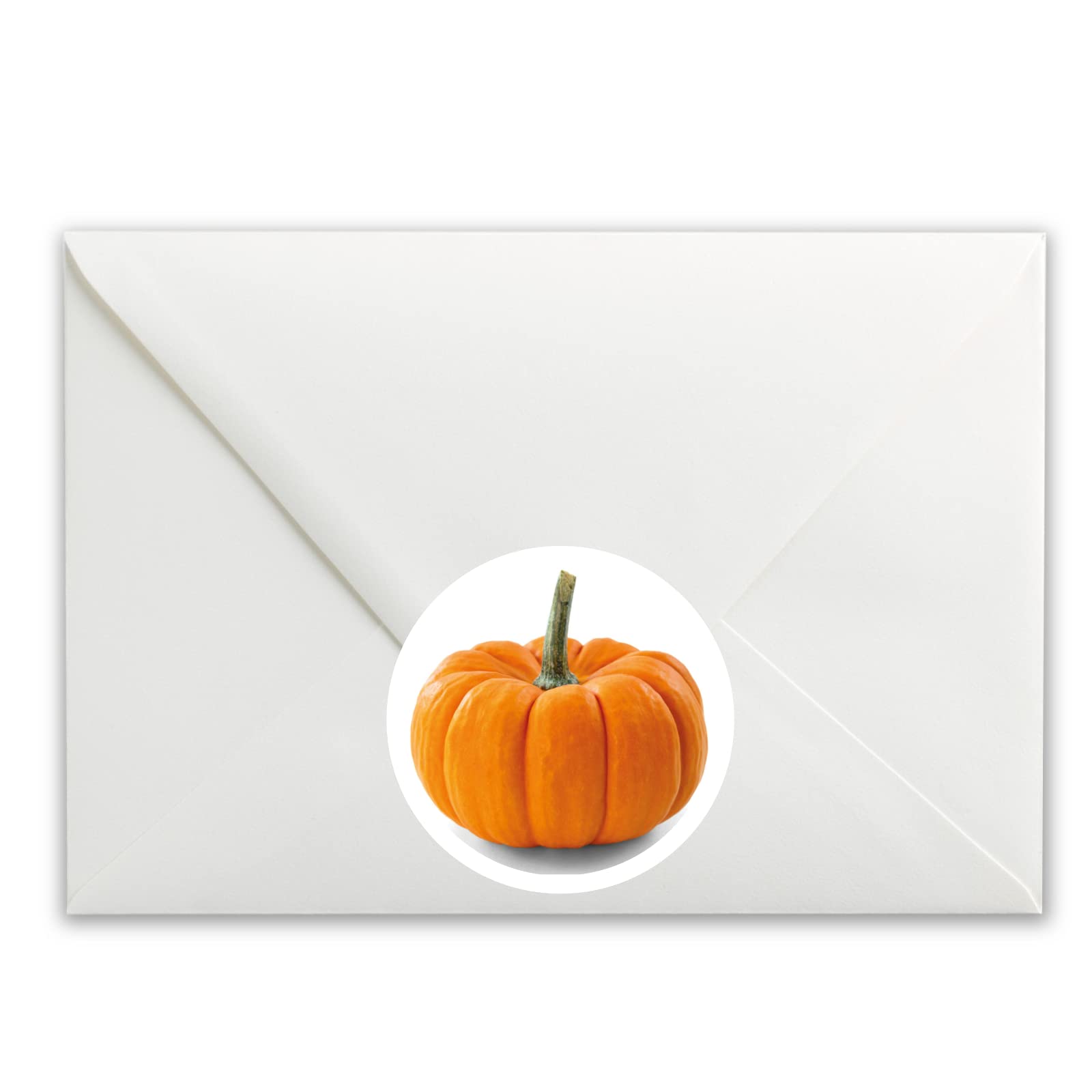 Pumpkin Gourd paper stickers supplied on A5 sheets of 12 - view 4