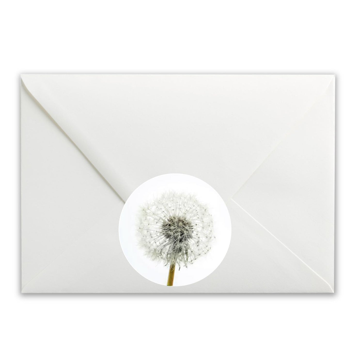 Dandelion paper stickers supplied on A5 sheets of 12 - view 4