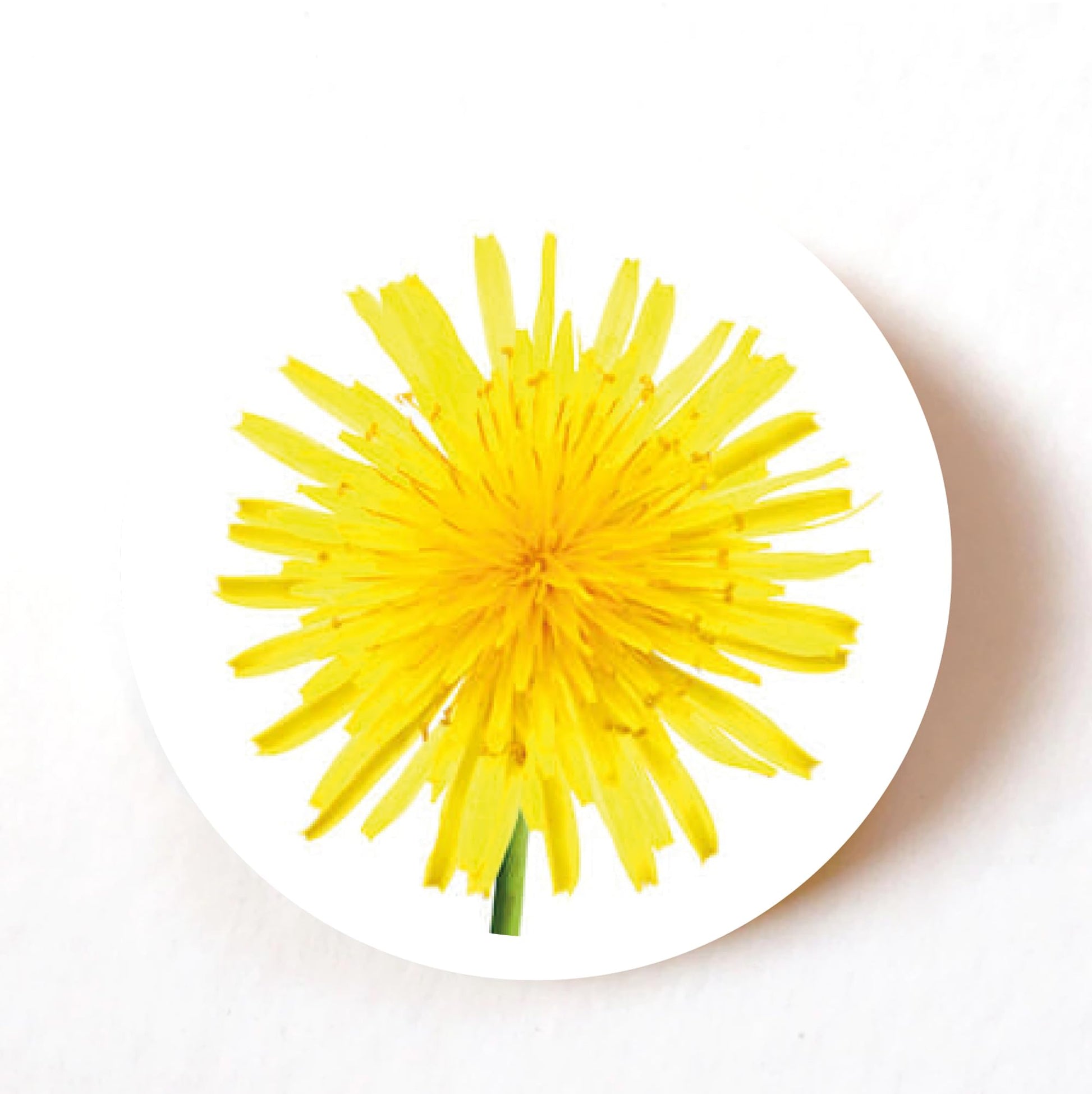 Yellow Dandelion 40mm round self-adhesive paper labels