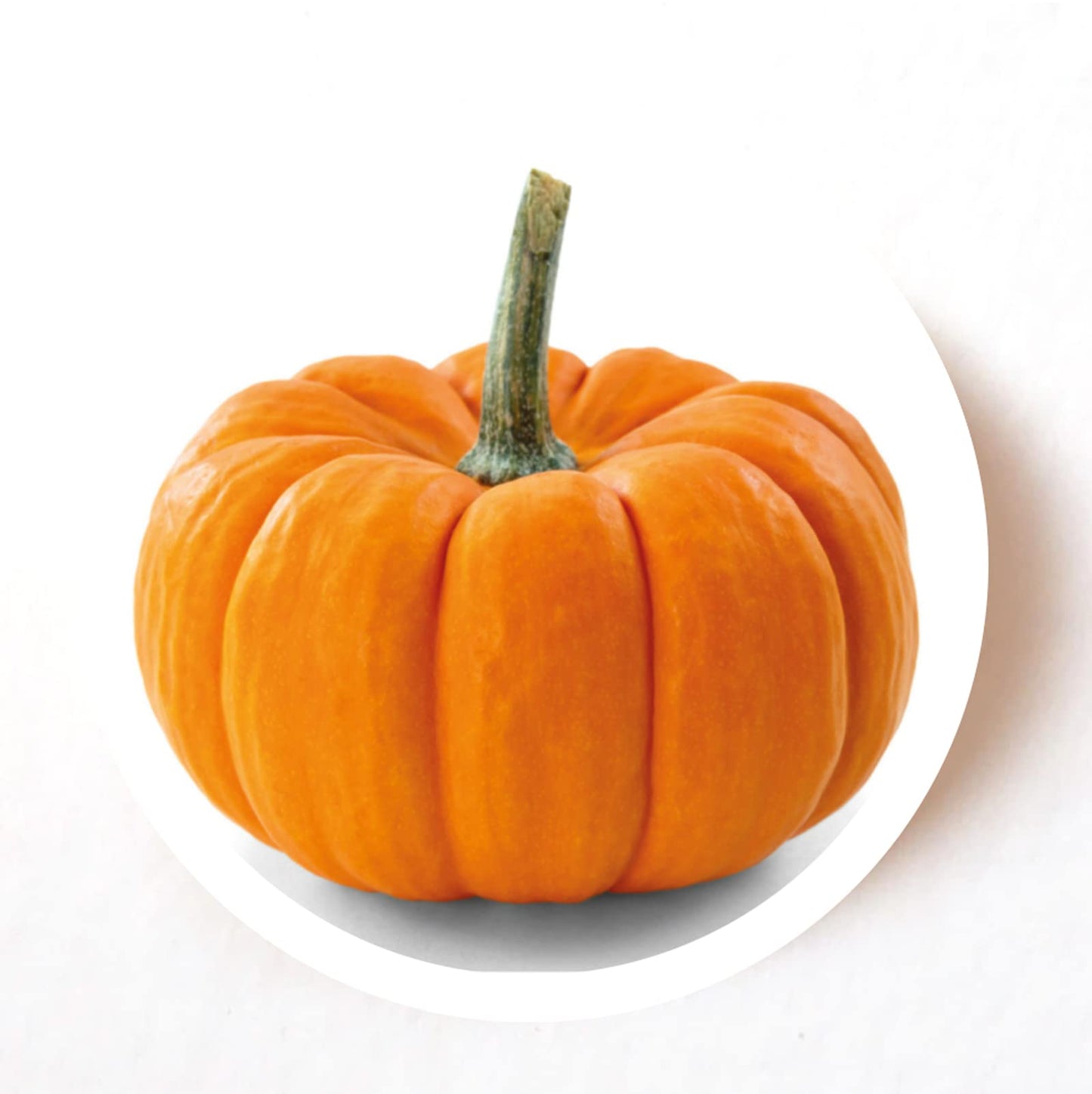 Pumpkin Gourd 40mm round self-adhesive paper labels