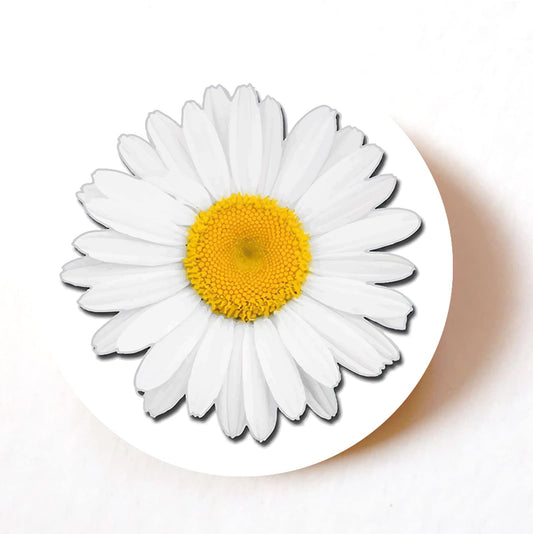 Daisy Flower 40mm round self-adhesive paper labels