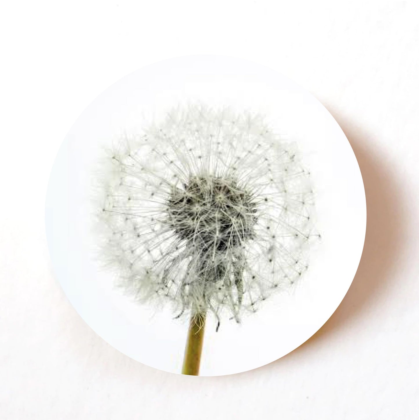 Dandelion 40mm round self-adhesive paper labels
