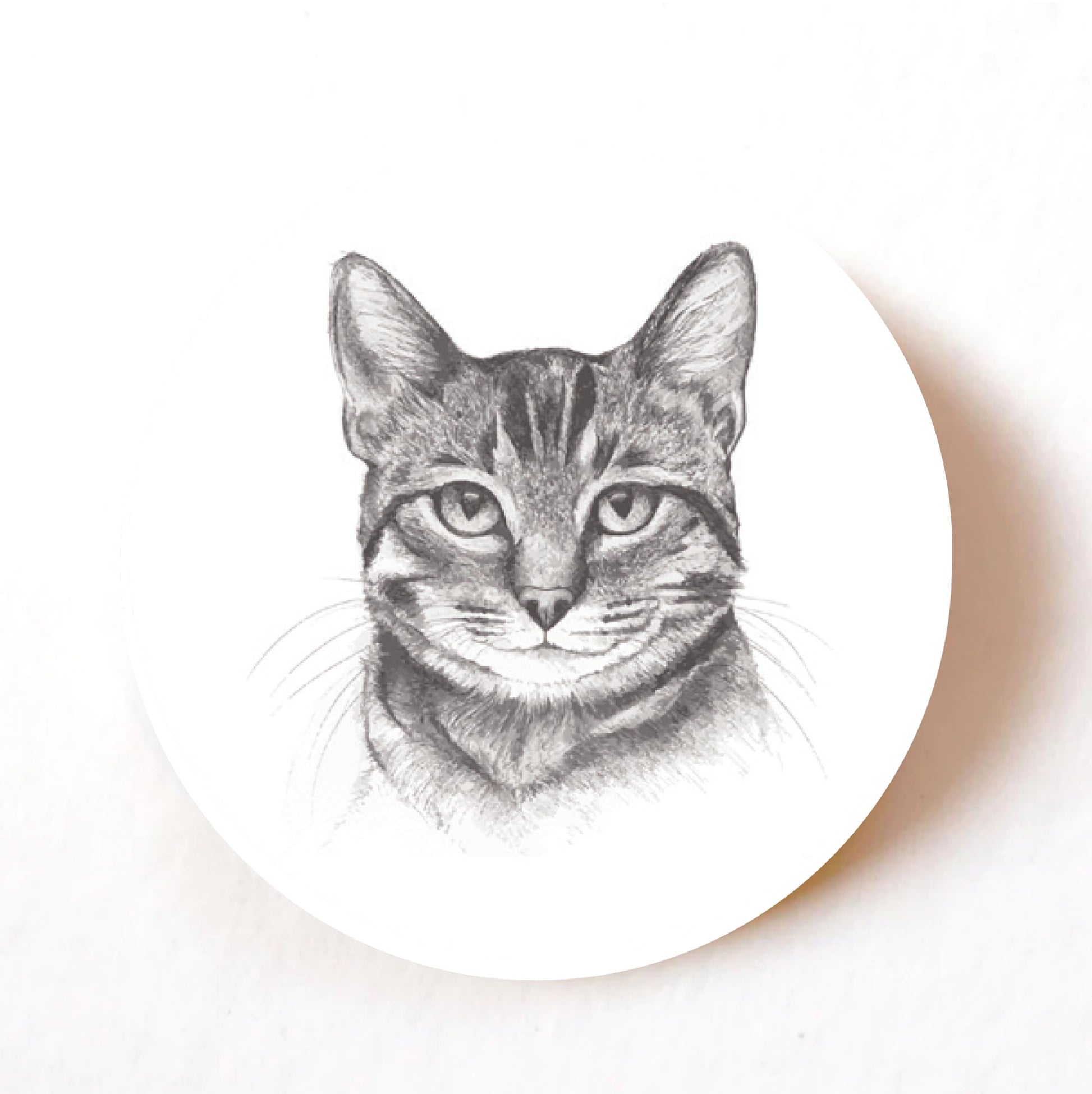 Sketched Cat 40mm round self-adhesive paper labels
