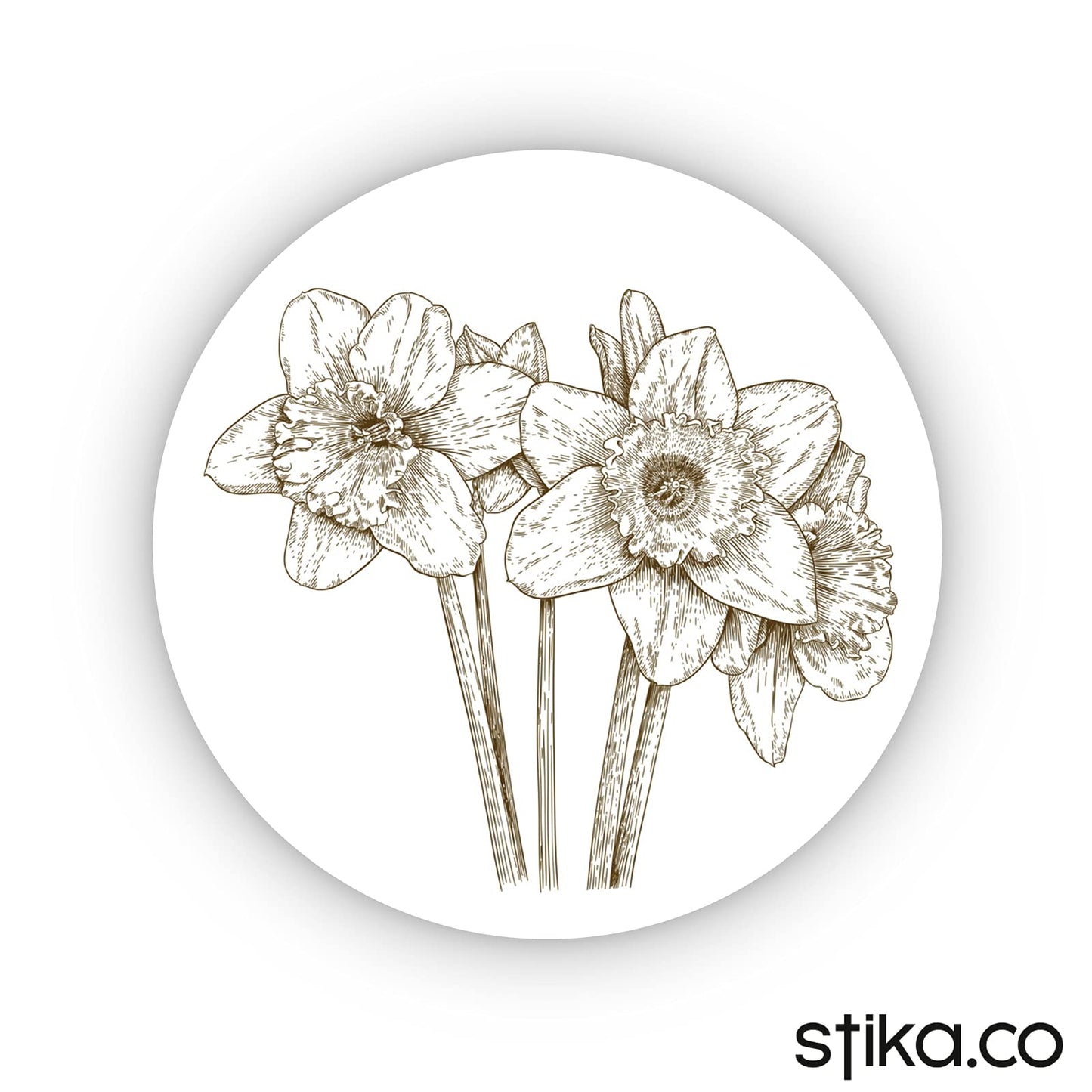 Sketched Narcissus 40mm round self-adhesive paper labels