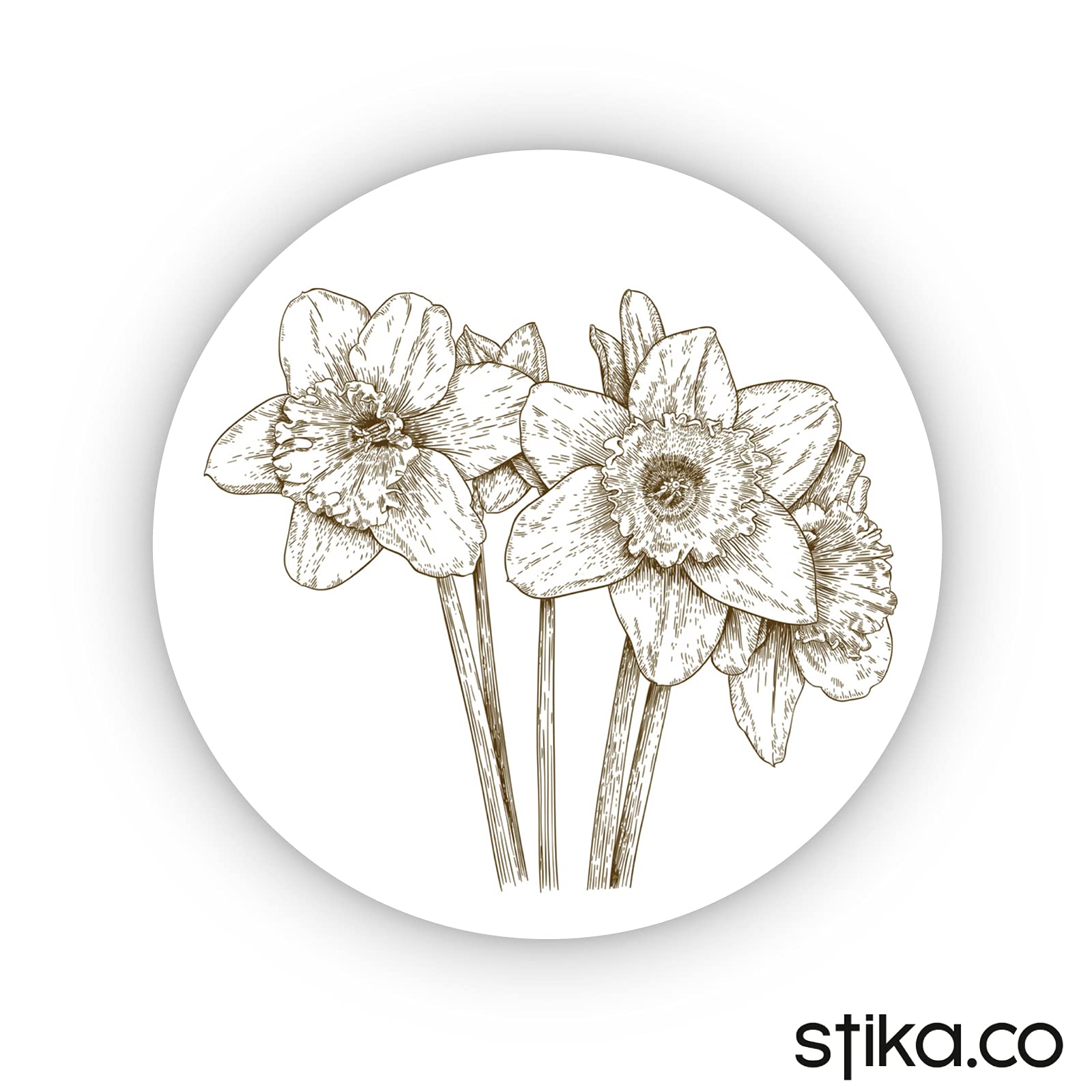 Sketched Narcissus 40mm round self-adhesive paper labels