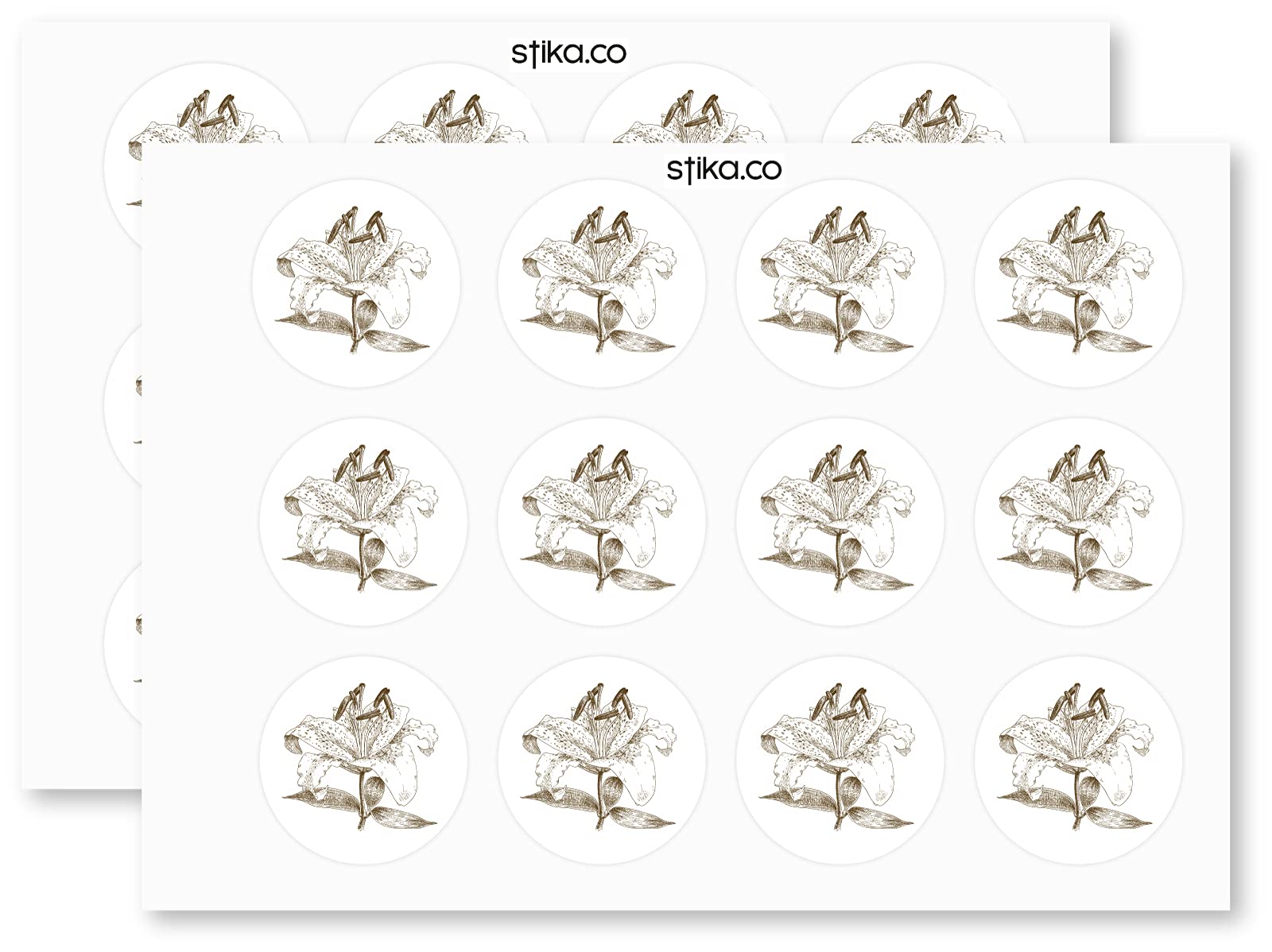 Sketched Tiger-Lily paper stickers supplied on A5 sheets of 12 - view 2