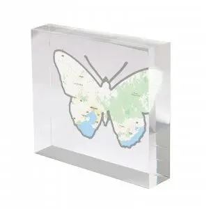 Personalised Butterfly Shape Map of a country, town, county of your choice