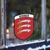 Essex window