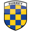 FLG SURREY