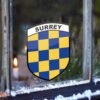 Surrey win
